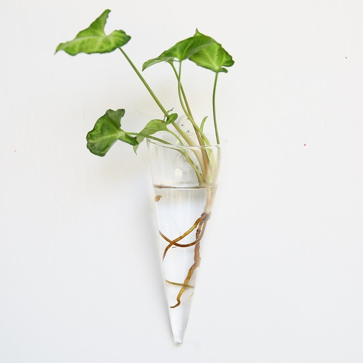 Glass Wall Hanging Vase