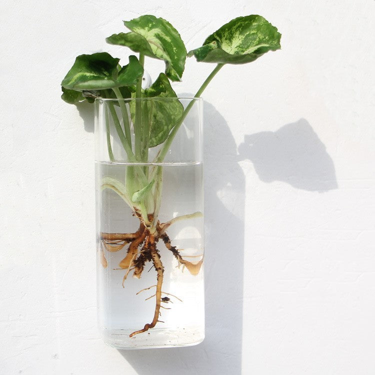 Glass Wall Hanging Vase