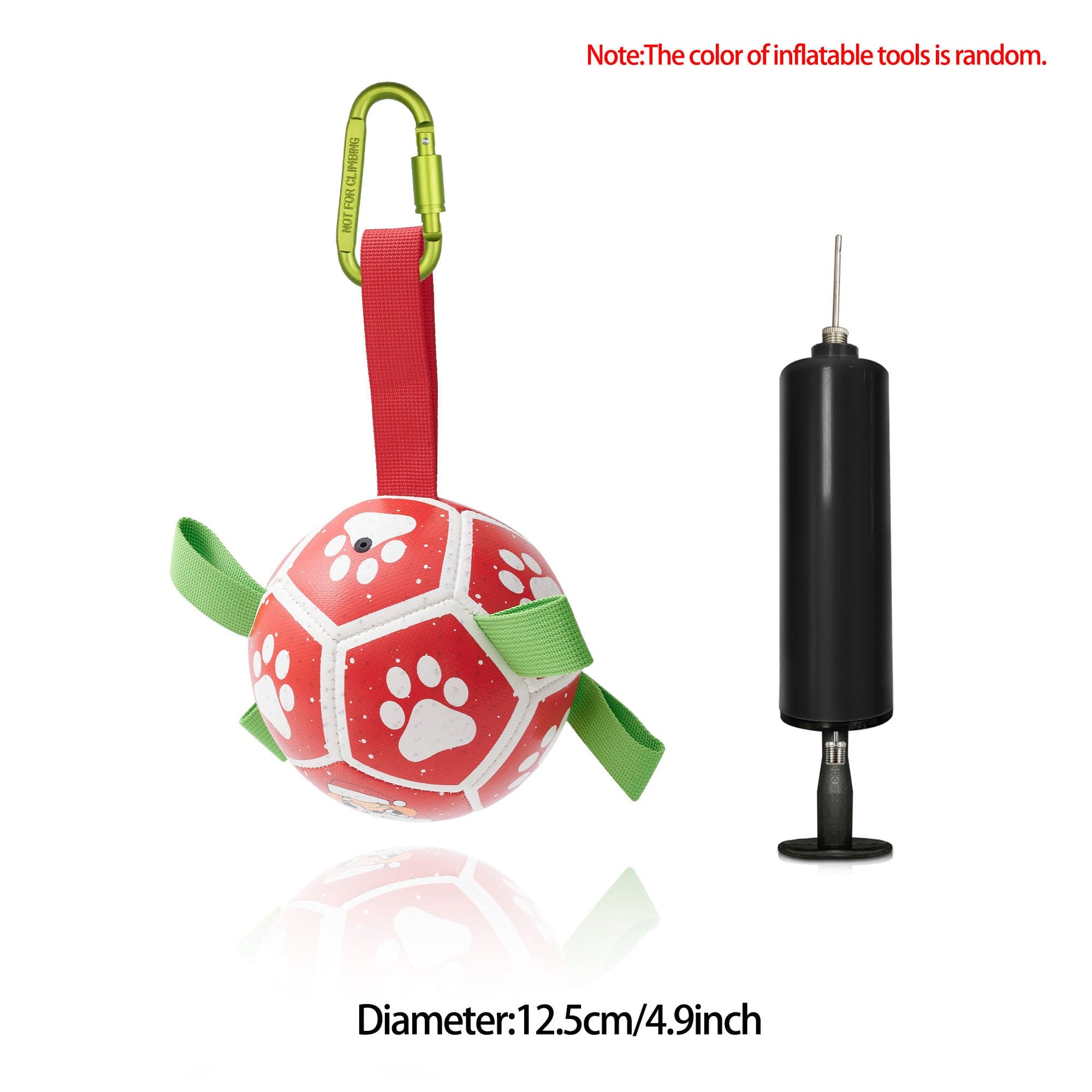 Interactive Dog Football