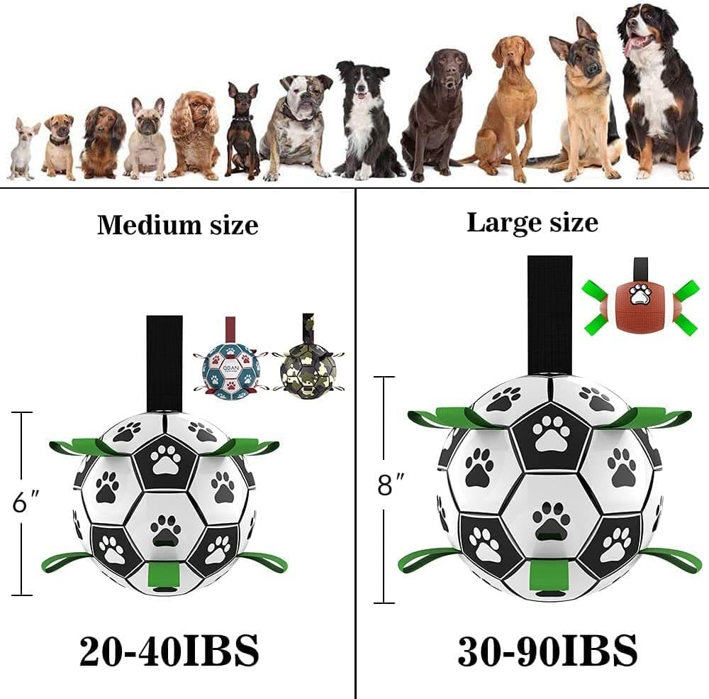 Interactive Dog Football