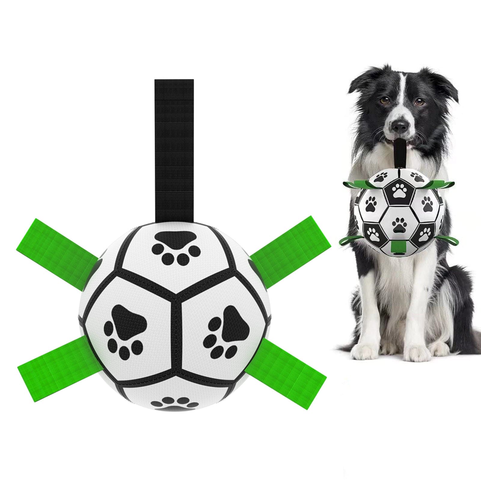 Interactive Dog Football