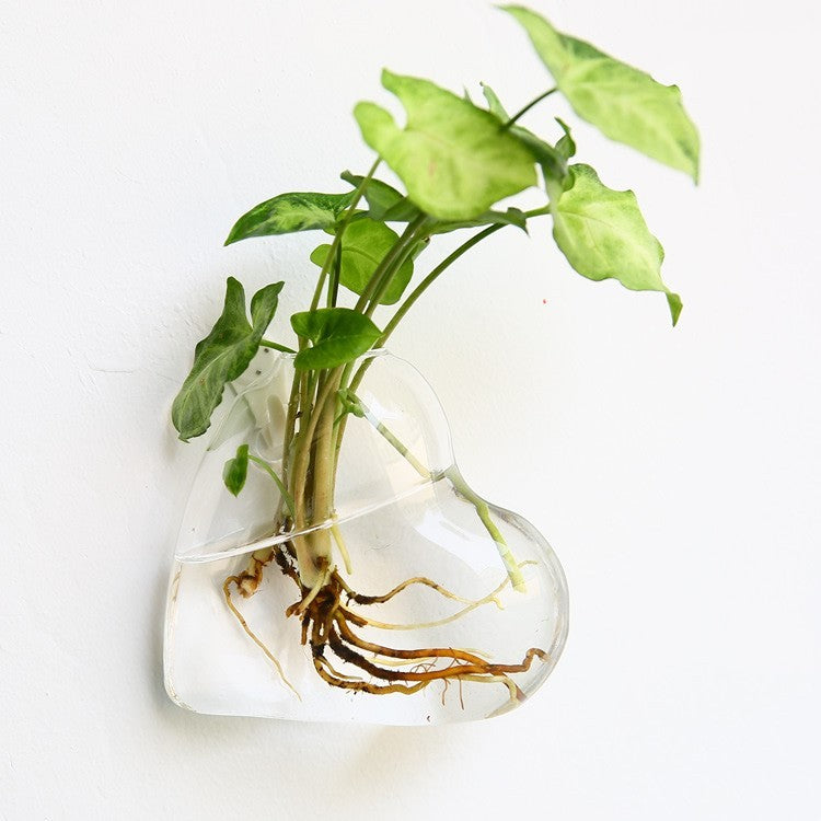 Glass Wall Hanging Vase
