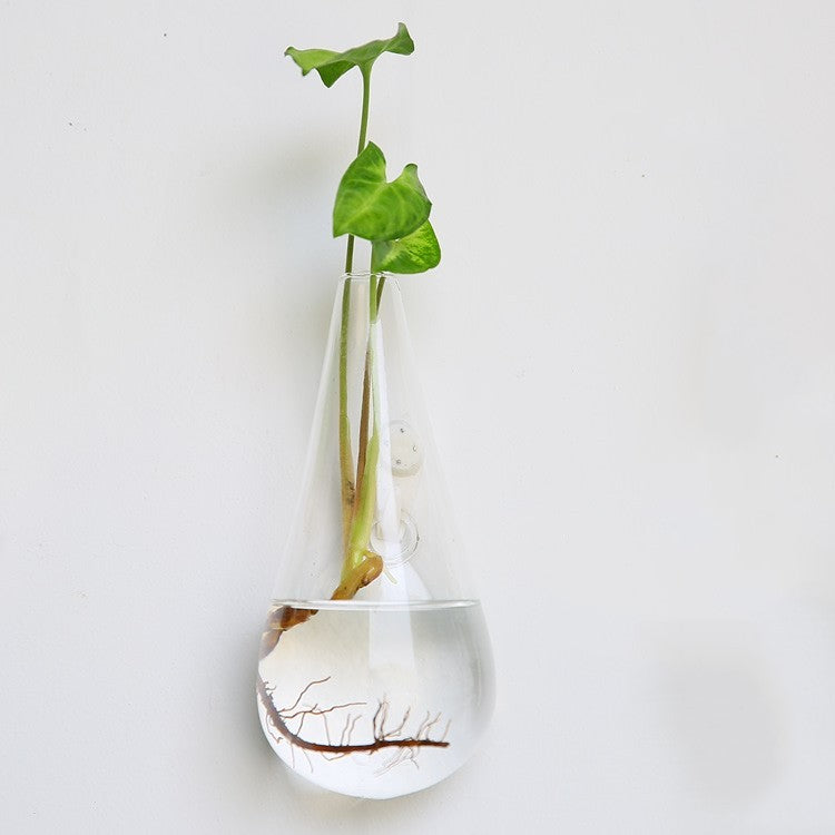 Glass Wall Hanging Vase