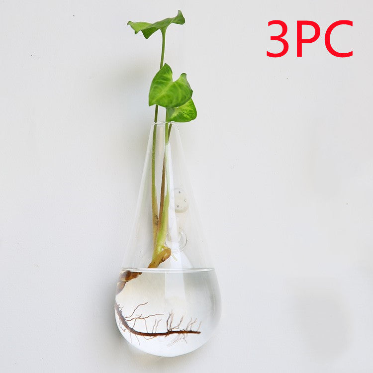 Glass Wall Hanging Vase
