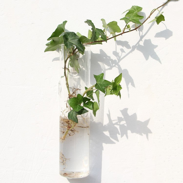 Glass Wall Hanging Vase