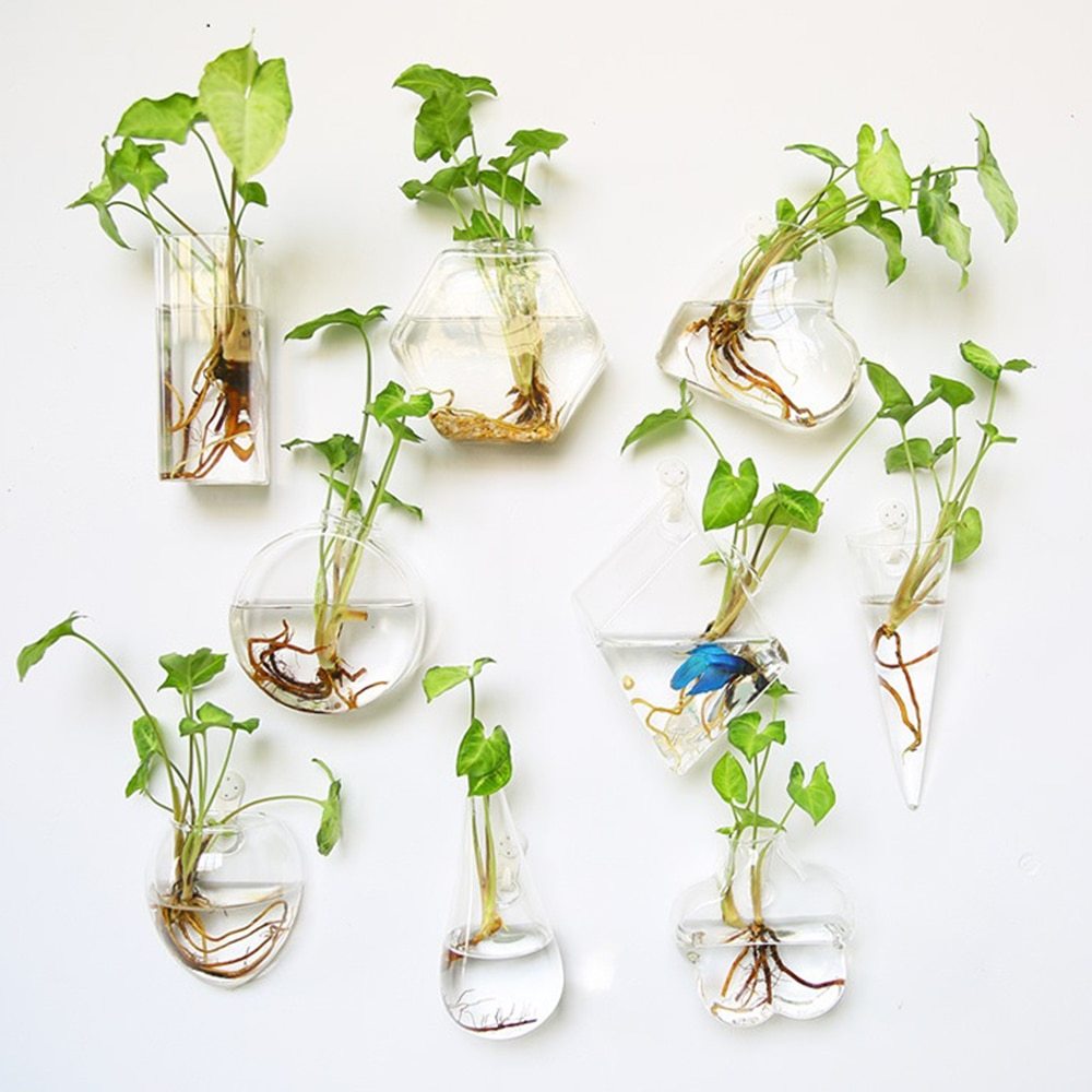 Glass Wall Hanging Vase