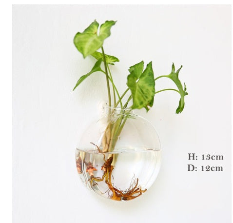 Glass Wall Hanging Vase