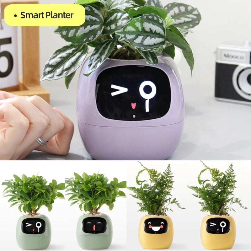 Interactive AI Smart Planter