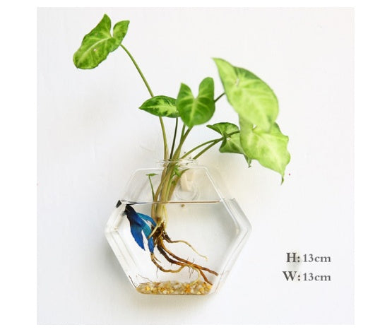 Glass Wall Hanging Vase