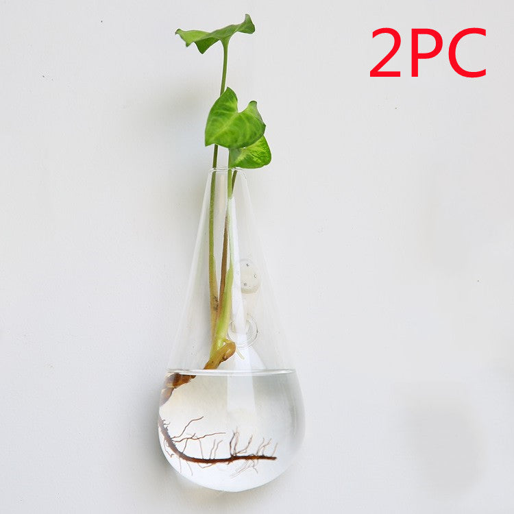 Glass Wall Hanging Vase