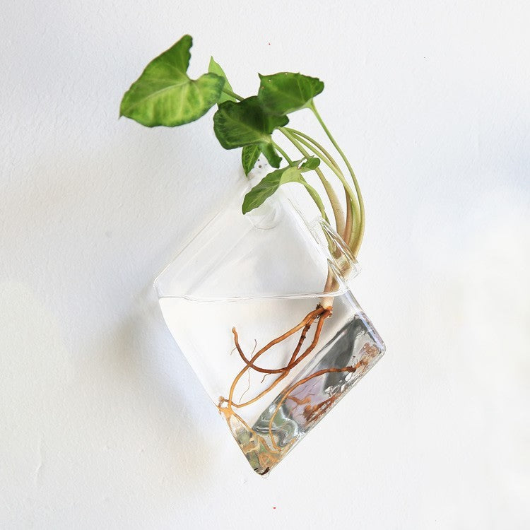 Glass Wall Hanging Vase