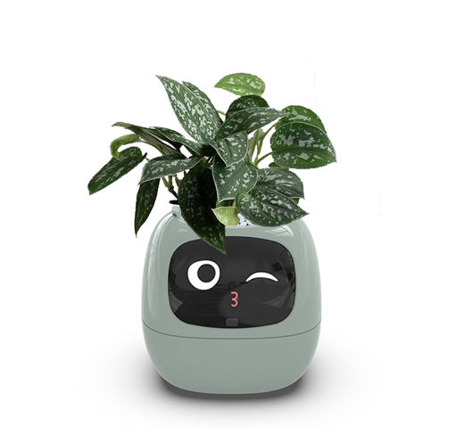 Interactive AI Smart Planter